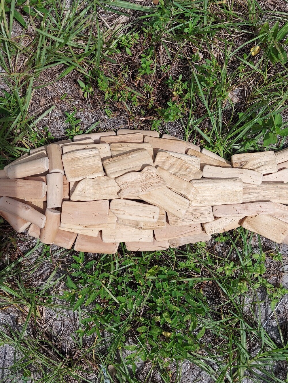 Natural Driftwood-Style Aquarium Ornament - Beige